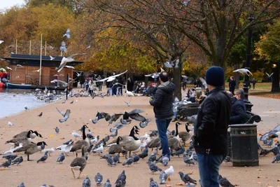 DSC_0654 (Large).JPG